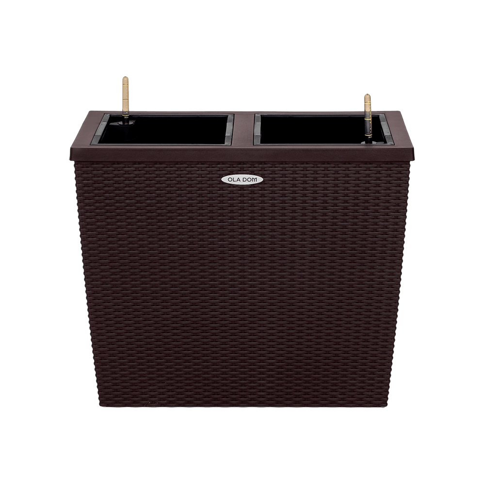 Как выбрать идеальное кашпо для растений: практические советы и актуальные тренды