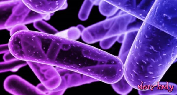 Ученые выяснили механизм размножения туберкулезной палочки