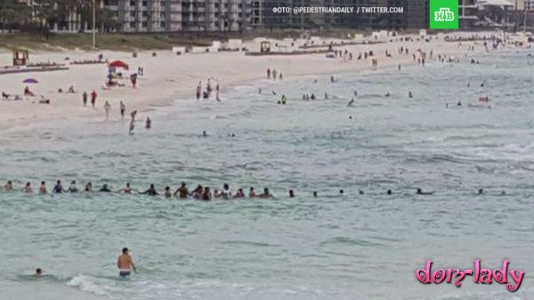 Тонущую у пляжа во Флориде семью спасли с помощью живой цепи