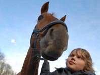 Лошади - секрет повышения успеваемости детей, установили ученые