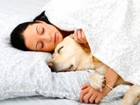 Домашние животные повышают качество сна