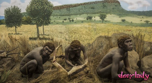 Первые миграции Homo sapiens произошли 85 тысяч лет назад