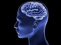 Открытие: токсичный белок в мозге не провоцирует болезнь Альцгеймера