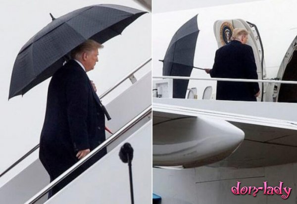 Трамп не знает, как закрыть зонт — видео